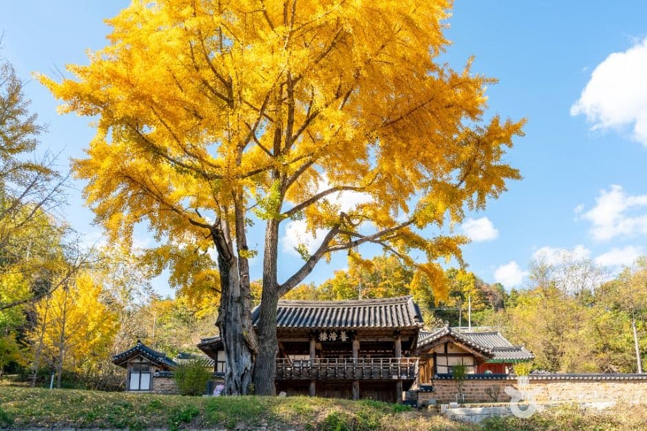 예안향교