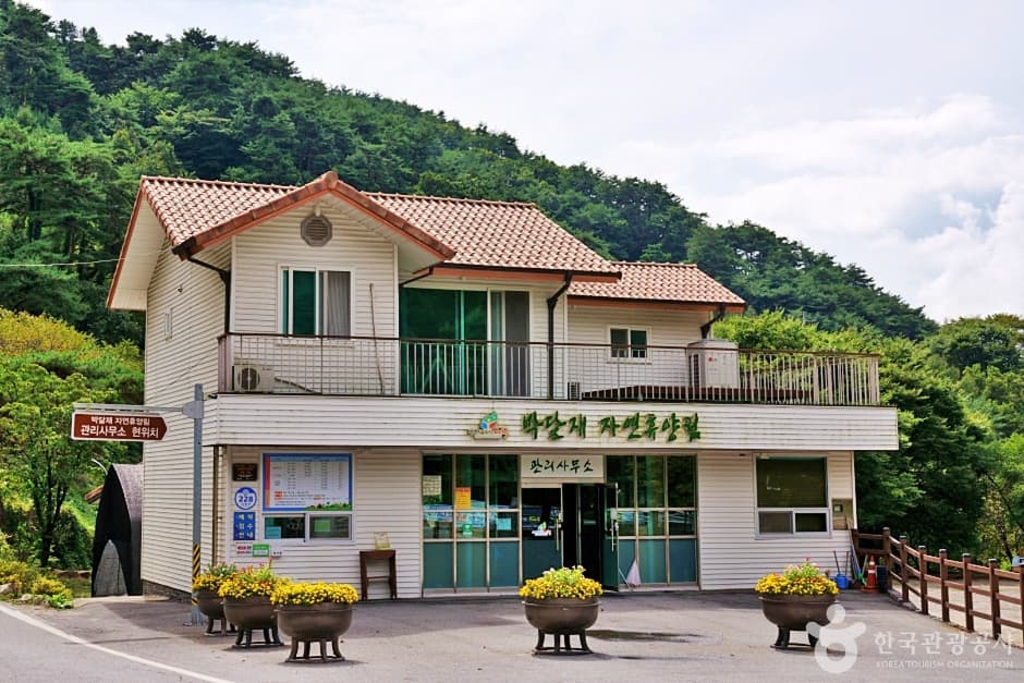 박달재자연휴양림