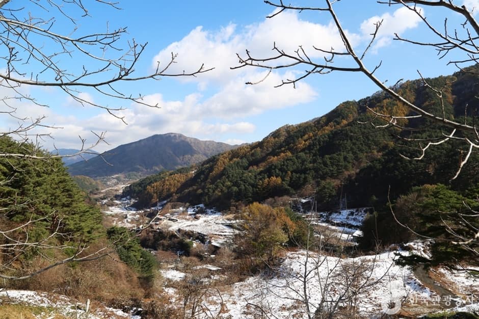 국립 지리산자연휴양림